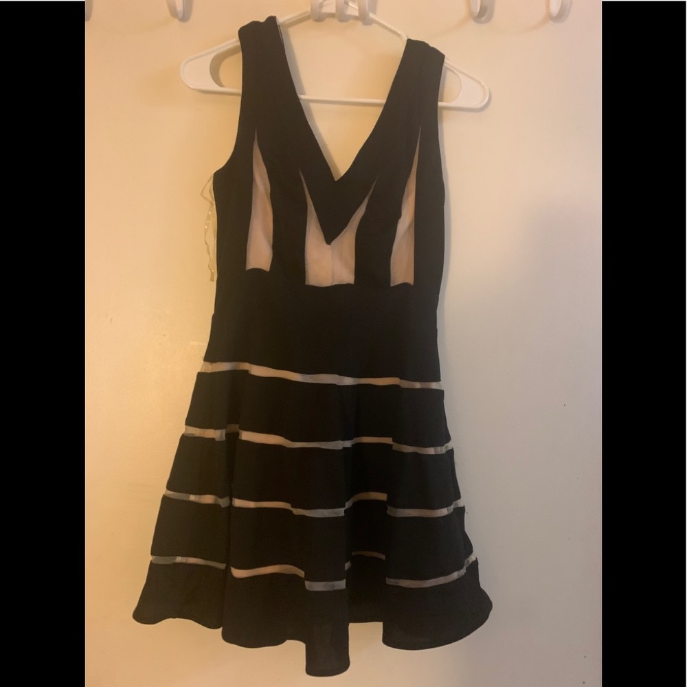 Alt B Black and Tan dress